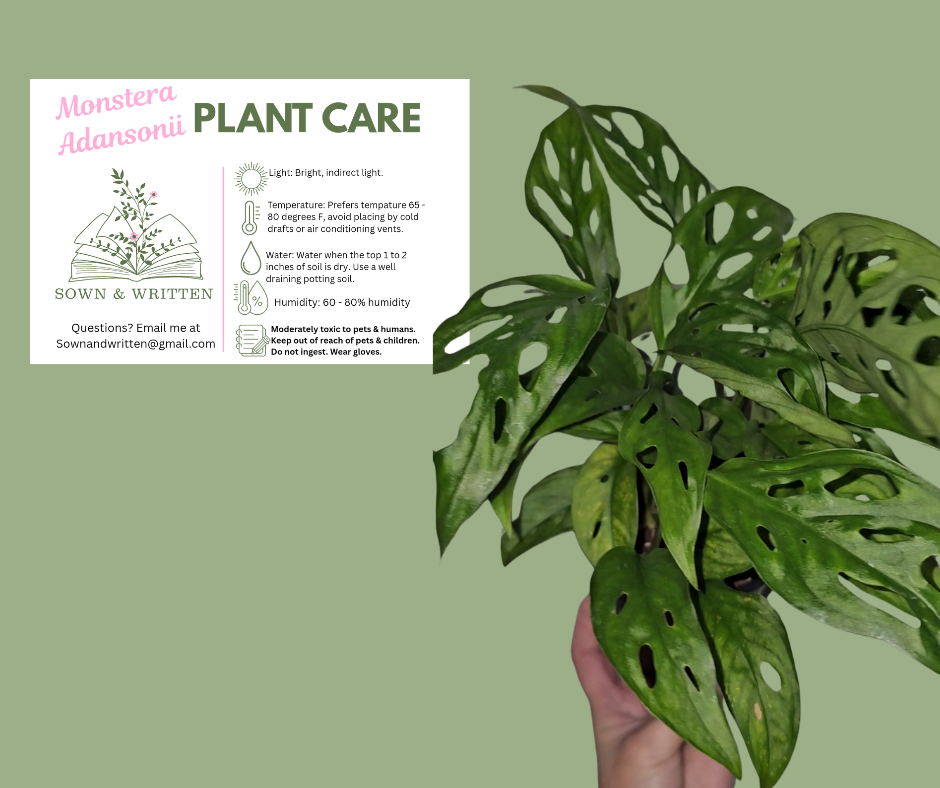 Houseplant - Indiana ONLY at this time