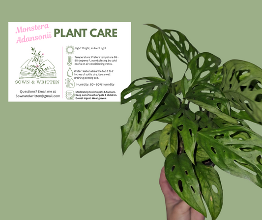 Houseplant - Indiana ONLY at this time