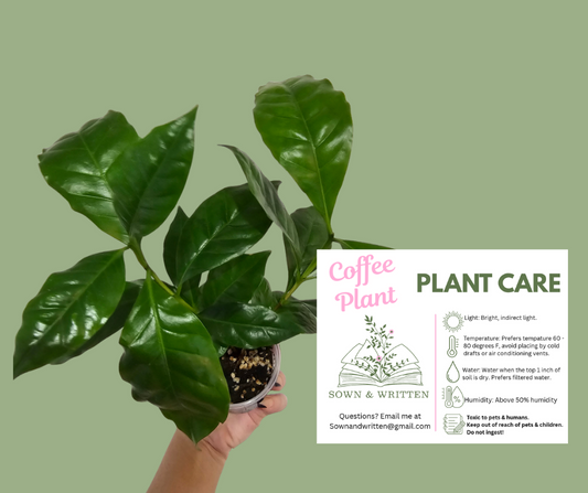 Houseplant - Indiana ONLY at this time