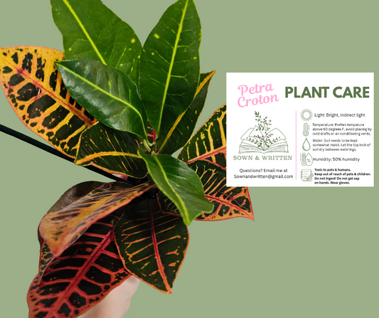 Houseplant - Indiana ONLY at this time