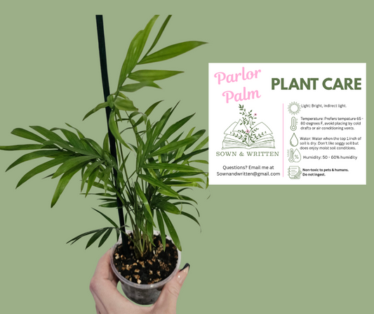 Houseplant - Indiana ONLY at this time